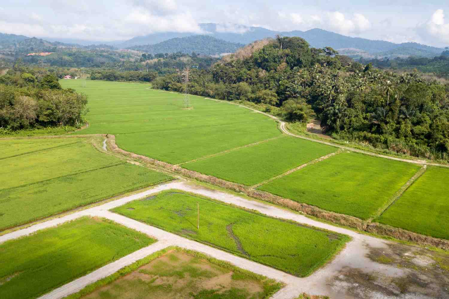 Agricultural Real estate consultants in Faridabad